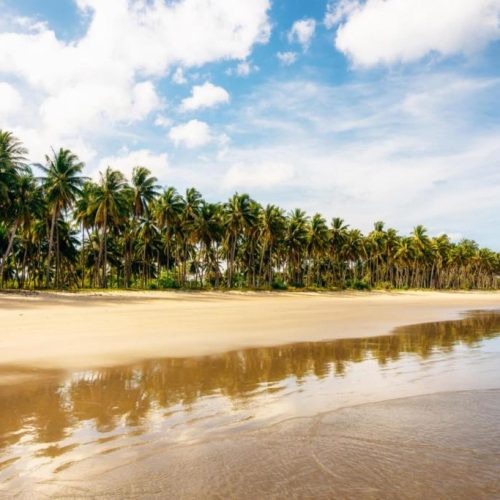 Antonio group hints at landmark development in Palawan, pledging sustainable growth, global prestige