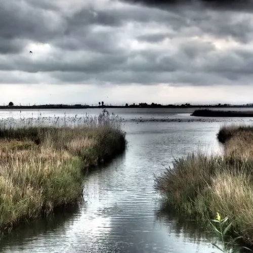 Revolution Precrafted Enters Spanish Hotel Market