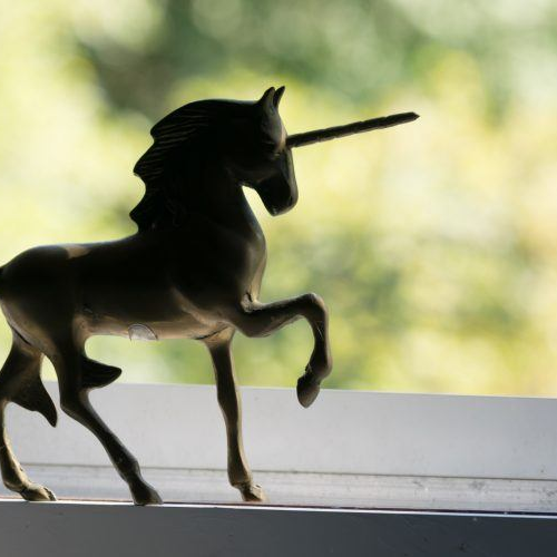 This Year’s New Herd of Unicorns